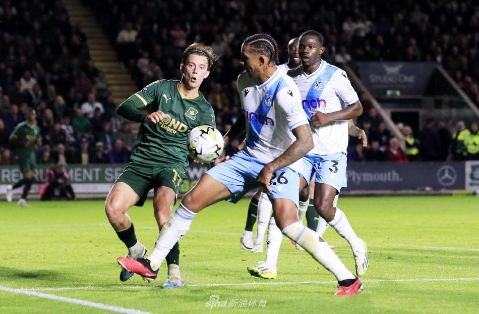 11个德甲 11个德甲